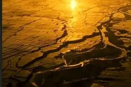 ویدئویی دردناک از وضعیت زیست‌محیطی فاجعه‌بار فارس! + ویدئو 