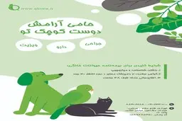 بیمه عمر طلا چگونه صادر می‌شود؟ جزئیات مدارک و مراحل صدور بیمه عمر طلا