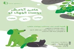 بیمه عمر طلا چگونه صادر می‌شود؟ جزئیات مدارک و مراحل صدور بیمه عمر طلا