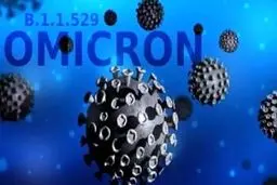 تشدید سختگیری ها در بنادر کشور برای کنترل ویروس اُمیکرون