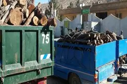 دستگیری دو باند قاچاق چوب و زغال در آران و بیدگل