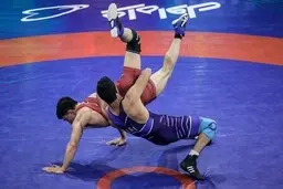 دو فرنگی کار ایران فینالیست شدند 