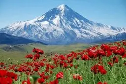 سازمان ثبت اسناد: اطراف روستای ملار وقف شده است نه کوه دماوند | امکان وقف کوه ها وجو ندراد