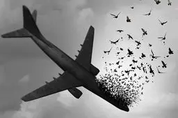  متهم شلیک به هواپیمای اوکراینی چه کسی است؟ +تصویر متهم