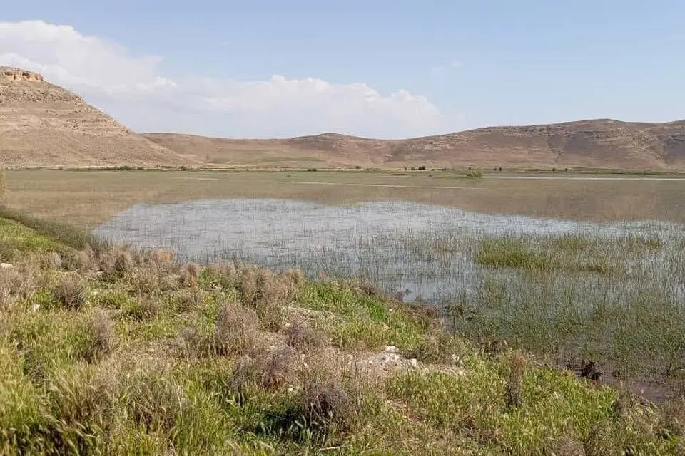 یک تالاب دیگر در آذربایجان‌غربی احیا شد | «درگه لطف الله» نقده بعد از ۲۵ سال