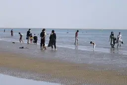 ساحل شهر بندرعباس  |  شیوع کرونا در شهر بندرعباس روندی افزایشی دارد +تصویر