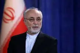 ادعای تازه صالحی: "نزدیک بود در زمان امیرعبداللهیان به توافق برسیم، اما دوستان مانع شدند!" +ویدئو