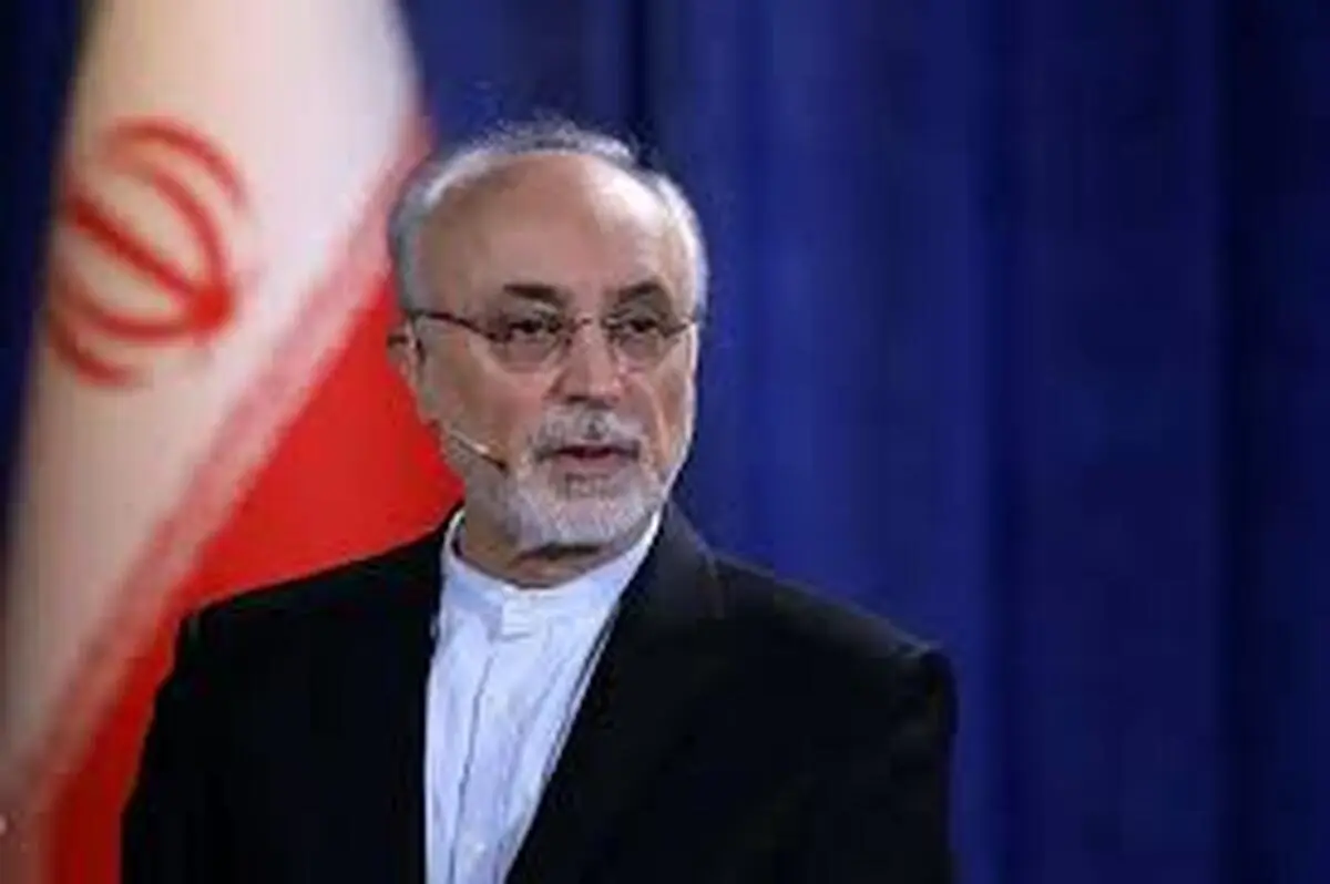 ادعای تازه صالحی: "نزدیک بود در زمان امیرعبداللهیان به توافق برسیم، اما دوستان مانع شدند!" +ویدئو