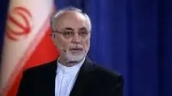 ادعای تازه صالحی: "نزدیک بود در زمان امیرعبداللهیان به توافق برسیم، اما دوستان مانع شدند!" +ویدئو