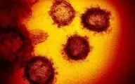 انتشار تصاویری واقعی از کروناویروس