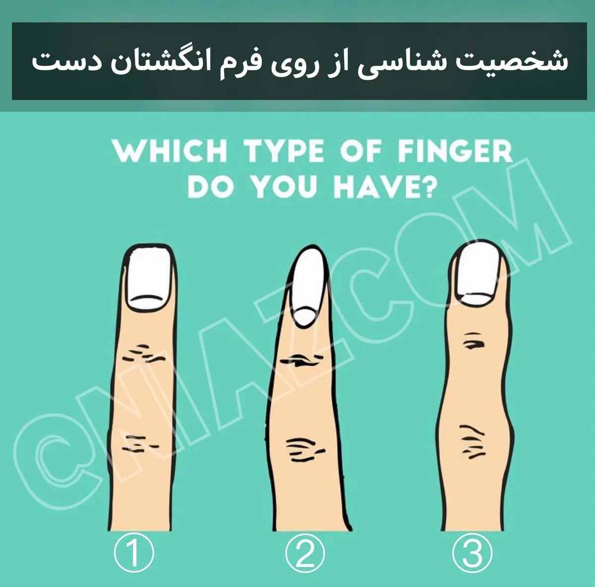 تست شخصیت شناسی | سرنوشت زندگیت رو از روی فرم انگشتت بخون! + پاسخ