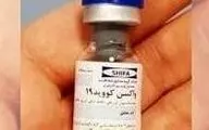 رئیس ستاد اجرایی فرمان امام: چند کشور متقاضی خرید واکسن هستند| تا زمانی که نیاز کشور تامین نشود، واکسن صادر نمی کنیم