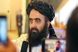 کابل در حال میانجیگری بین دولت پاکستان و "جنبش طالبان پاکستان" 