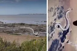 مار غول‌پیکر پیدا شده در گوگل مپس قلابی بود