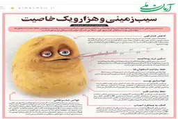 سیب‌زمینی و هزار و یک خاصیت 