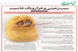 سیب‌زمینی و هزار و یک خاصیت 