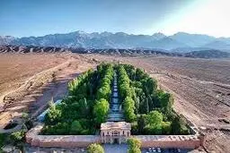 کرمان شما را شوکه می‌کند | جنگل پنهان در دل کویر، جایی که هیچ‌کس انتظارش را ندارد +ویدئو
