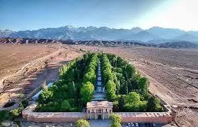 کرمان شما را شوکه می‌کند | جنگل پنهان در دل کویر، جایی که هیچ‌کس انتظارش را ندارد +ویدئو
