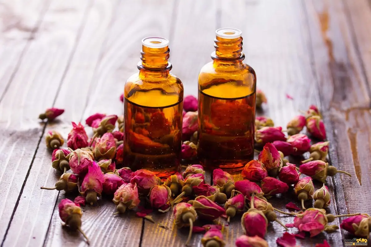 بنظرم بهتره بیشتر با خواص گل سرخ آشنا بشی! | فواید روغن گل سرخ چیست؟