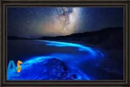 ساحل درخشان مالدیو کجاست