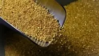 پیش‌بینی تحلیلگران از قیمت طلا در هفته‌ جاری |  منتظر سقوط قیمت طلا باشیم؟