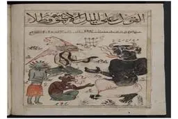 انواع جن‌ها چه شکلی هستند ؟ | تصویر انواع جن‌ها در «کتاب عجایب»