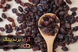 با تلاش به موفقیت رسیدم و ثروتمند شدم