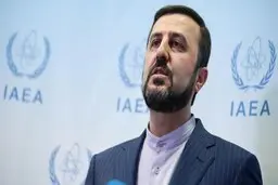 دیدار اسلامی با گروسی در وین