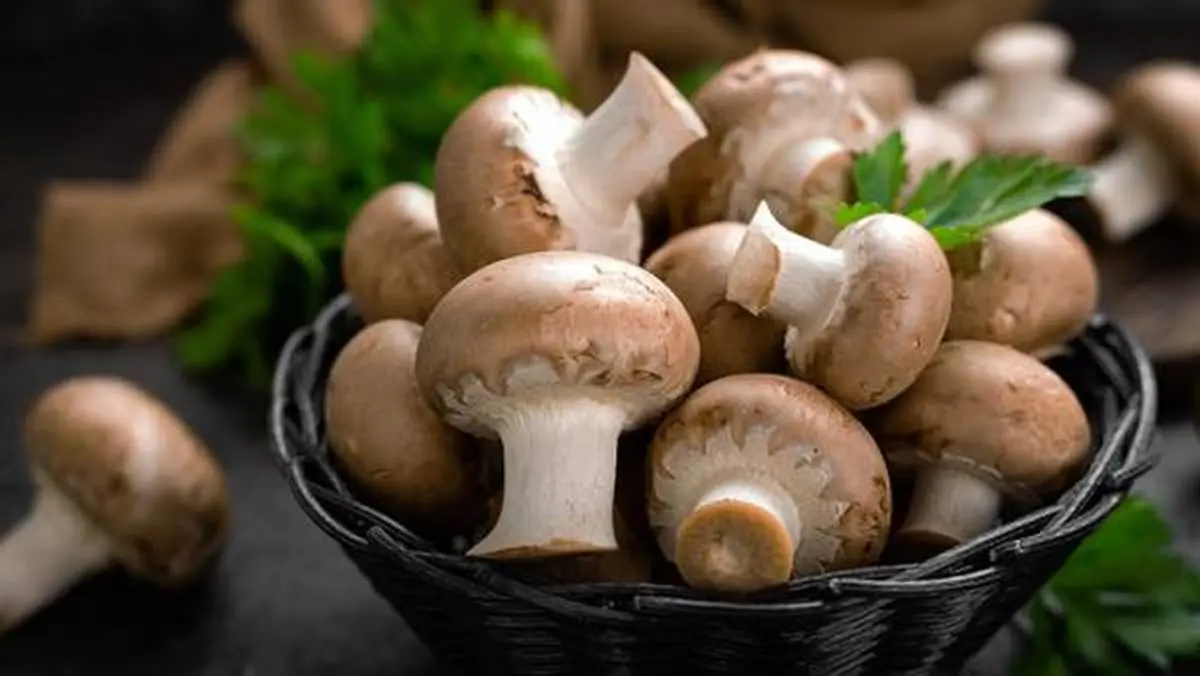 
خطر ابتلا به سرطان را با خوردن یک قارچ کاهش دهید
