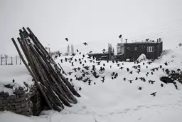 روستای ناشنوایان 