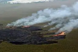 هم‌اکنون آتش سوزی در تالاب انزلی+ویدئو