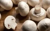 چطور قارچ را تازه نگه داریم؟ | روش های تازه نگه داشتن قارچ 