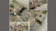 4 عکس از سقوط مرگبار خاور از پل چم گرداب پلدختر