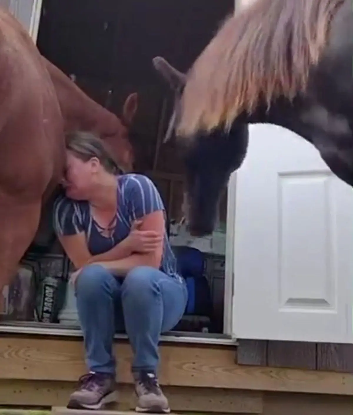 دلداری دادن عجیب و تاثیرگذار یک اسب به صاحبش که گریه می‌کند!+ویدئو 