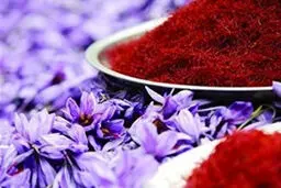 کشف بیش از ۱۱ کیلو زعفران تقلبی در بازار تهران