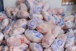 فروش مرغ ممنوع شد | قیمت مرغ همه را شوکه کرد!