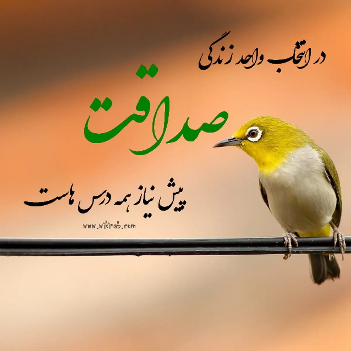 اهمیت صداقت در زندگی