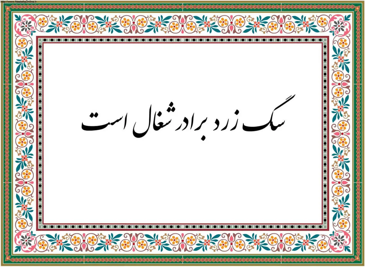 داستان ضرب المثل سگ زرد برادر شغاله چیست؟