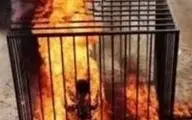 نگاهی به وحشتناک‌ترین جنایات ابوبکر البغدادی