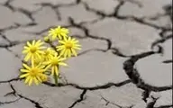 آیا امید به این خانه بازمی‌گردد؟ | حسرت زندگی معمولی