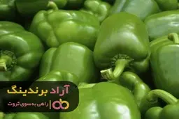 فلفل دلمه ای تلخ و شیرین در تهران بسیار کمیاب شده است
