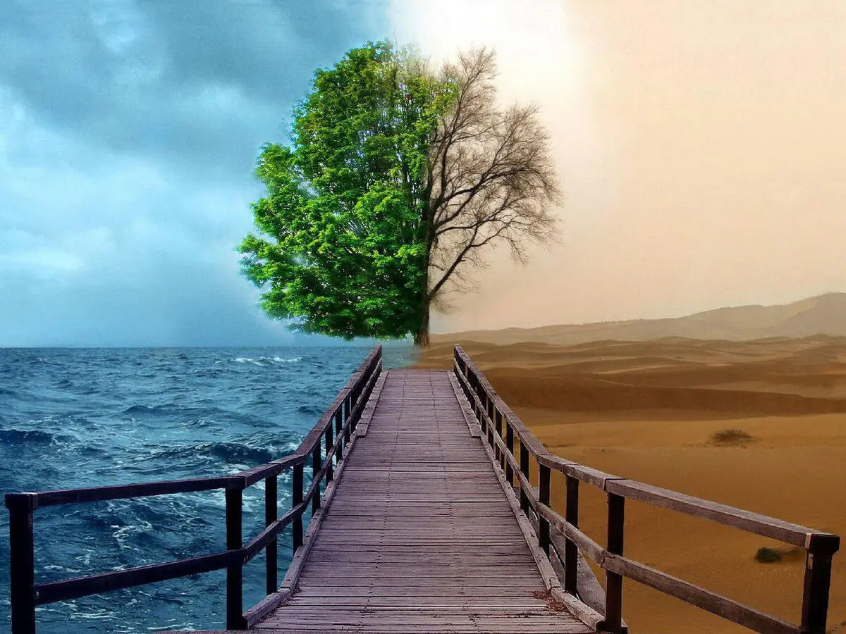 استدلال‌هاي واهي براي توسعه‌نيافتگي