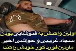 اولین واکنش هالک فتوشاپی به حواشی ایجاد شده | مارتین فورد گور خودش را کَند+ویدئو