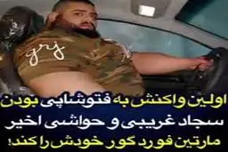 اولین واکنش هالک فتوشاپی به حواشی ایجاد شده | مارتین فورد گور خودش را کَند+ویدئو