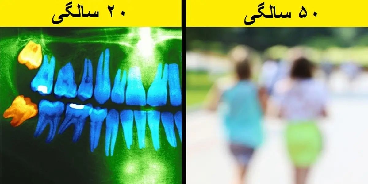 در هر دهه از زندگی دقیقاً چه تغییراتی در بدن رخ می دهد؟