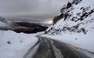 جاده چالوس به وضعیت بحرانی درآمد | لیز خوردن ماشین‌ها در برف! + ویدئو
