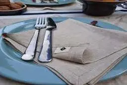 ترفند تزیین دستمال سفره فقط با یک همزن + ویدیو 