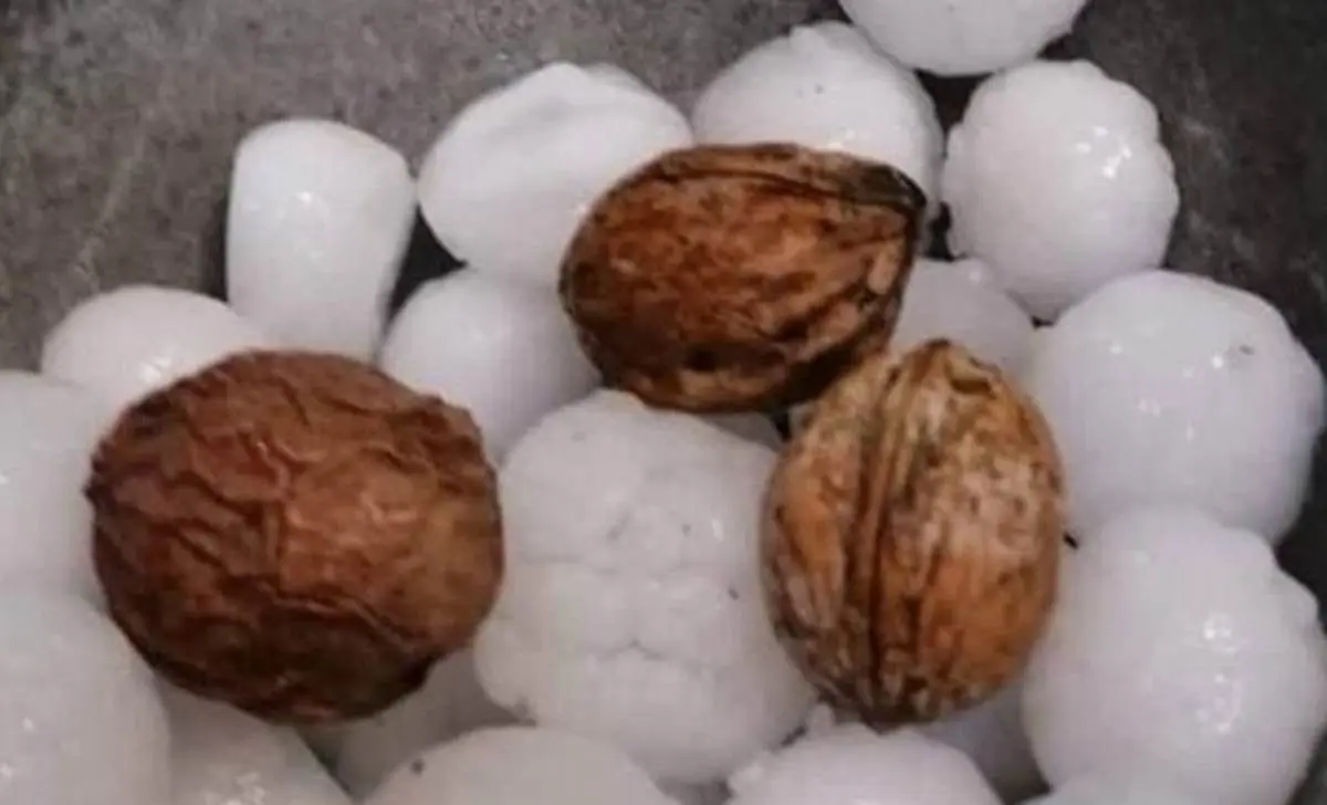 بارش تگرگ در نیشابور 