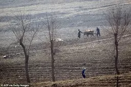 اشد مجازات در انتظار اسراف‌کنندگان مواد غذایی 