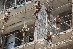 آغاز ثبت نام متقاضیان مسکن از فردا